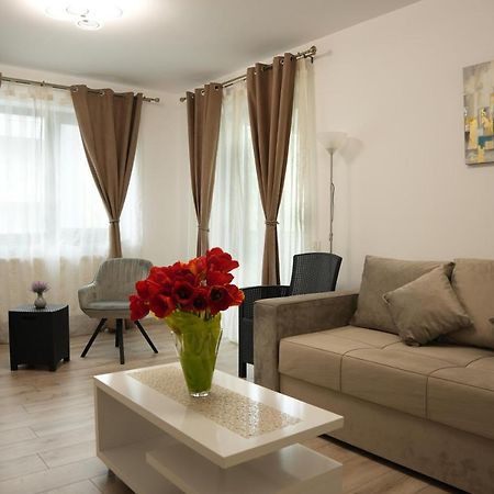 Brigitte Apartment Braşov Exterior foto