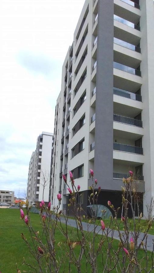 Brigitte Apartment Braşov Exterior foto